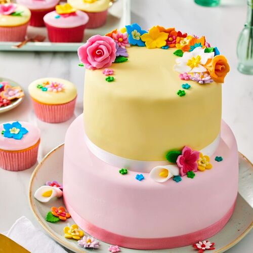 FUNCAKES FONDANT MULTIPACK - ROSANE TÖNE (5 X 100 G)