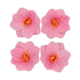 FUNCAKES OBLATENBLUMEN - KLENE ROSANE HORTENSIEN