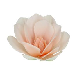 FUNCAKES OBLATENBLUMEN - GROSSE WEISSE MAGNOLIE